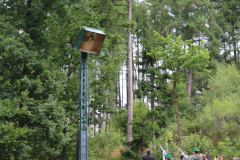 2025-07-28-11-33-49